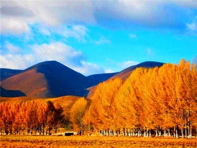 稻城亞丁機(jī)場