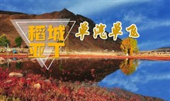 稻城亞丁、新都橋純玩五日游-單汽單飛